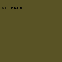 595325 - Soldier Green color image preview