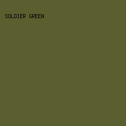 5B5E2F - Soldier Green color image preview