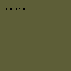 5D5E37 - Soldier Green color image preview