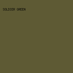 5E5A34 - Soldier Green color image preview