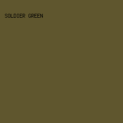 5F562E - Soldier Green color image preview