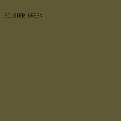 5F5935 - Soldier Green color image preview