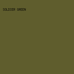 5F5D2D - Soldier Green color image preview
