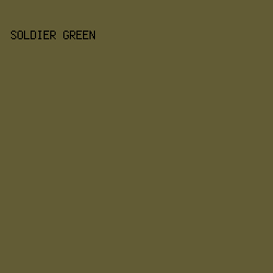 625C35 - Soldier Green color image preview