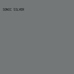 737777 - Sonic Silver color image preview
