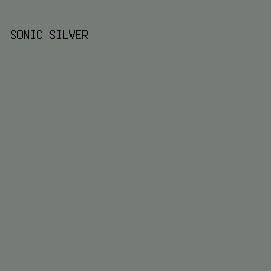 757b76 - Sonic Silver color image preview