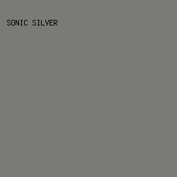 7A7B76 - Sonic Silver color image preview
