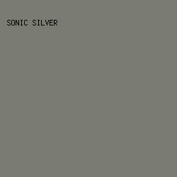 7a7b73 - Sonic Silver color image preview