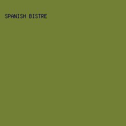 718035 - Spanish Bistre color image preview
