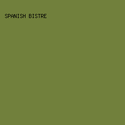 71803c - Spanish Bistre color image preview