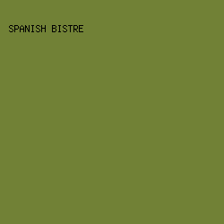 718136 - Spanish Bistre color image preview