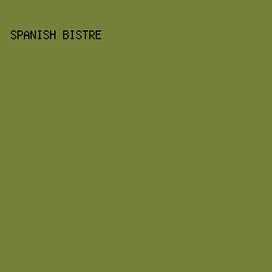 758039 - Spanish Bistre color image preview