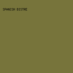 77743B - Spanish Bistre color image preview
