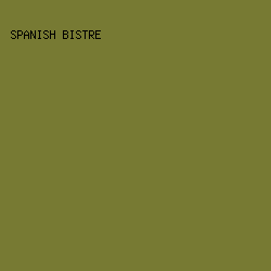 777a33 - Spanish Bistre color image preview