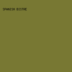 787833 - Spanish Bistre color image preview