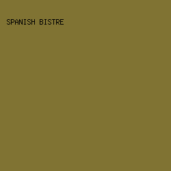 807333 - Spanish Bistre color image preview