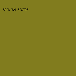 817C1E - Spanish Bistre color image preview