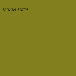 817F1E - Spanish Bistre color image preview