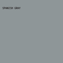 8f9698 - Spanish Gray color image preview