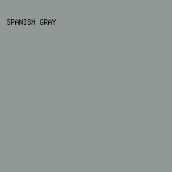 909993 - Spanish Gray color image preview
