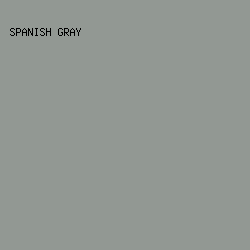 929893 - Spanish Gray color image preview