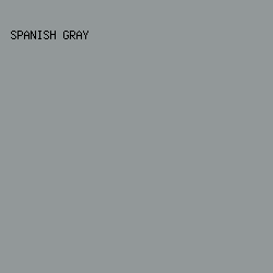 929899 - Spanish Gray color image preview