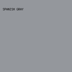 94979c - Spanish Gray color image preview