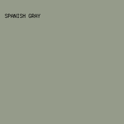 959b8a - Spanish Gray color image preview