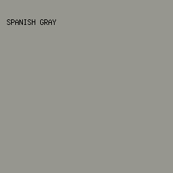 96968f - Spanish Gray color image preview