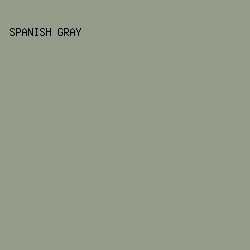 969c8a - Spanish Gray color image preview