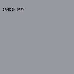 97979F - Spanish Gray color image preview