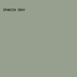 979F8F - Spanish Gray color image preview