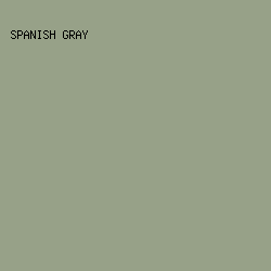 97a188 - Spanish Gray color image preview
