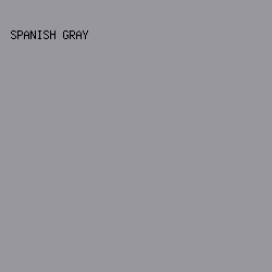 98979e - Spanish Gray color image preview