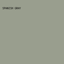 999E8E - Spanish Gray color image preview