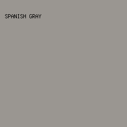 9A9691 - Spanish Gray color image preview