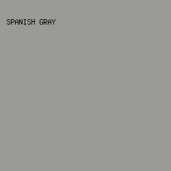9A9A96 - Spanish Gray color image preview