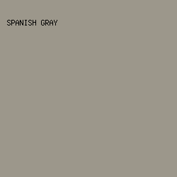 9C978B - Spanish Gray color image preview