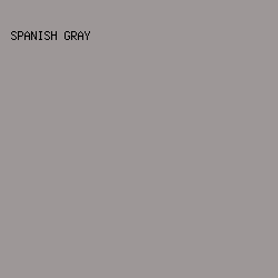 9D9797 - Spanish Gray color image preview