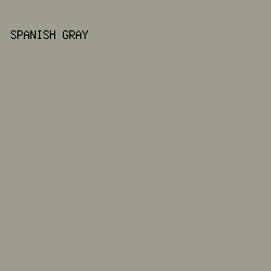 9D9C8E - Spanish Gray color image preview