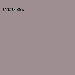 9E8E91 - Spanish Gray color image preview
