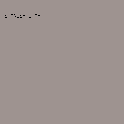 9E9390 - Spanish Gray color image preview