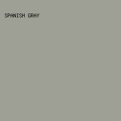 9EA095 - Spanish Gray color image preview