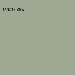 9FA892 - Spanish Gray color image preview