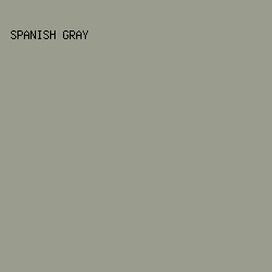 9a9c8e - Spanish Gray color image preview