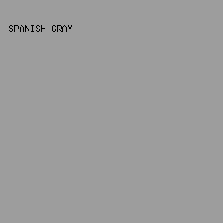 9d9d9d - Spanish Gray color image preview