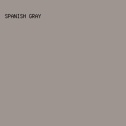9f9590 - Spanish Gray color image preview