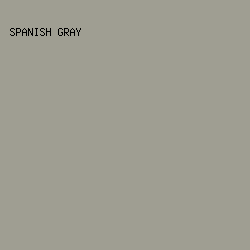 9f9e92 - Spanish Gray color image preview