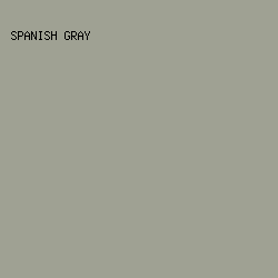 9fa193 - Spanish Gray color image preview