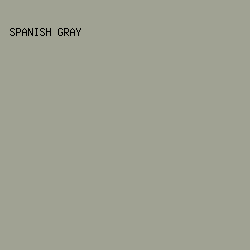 A0A293 - Spanish Gray color image preview